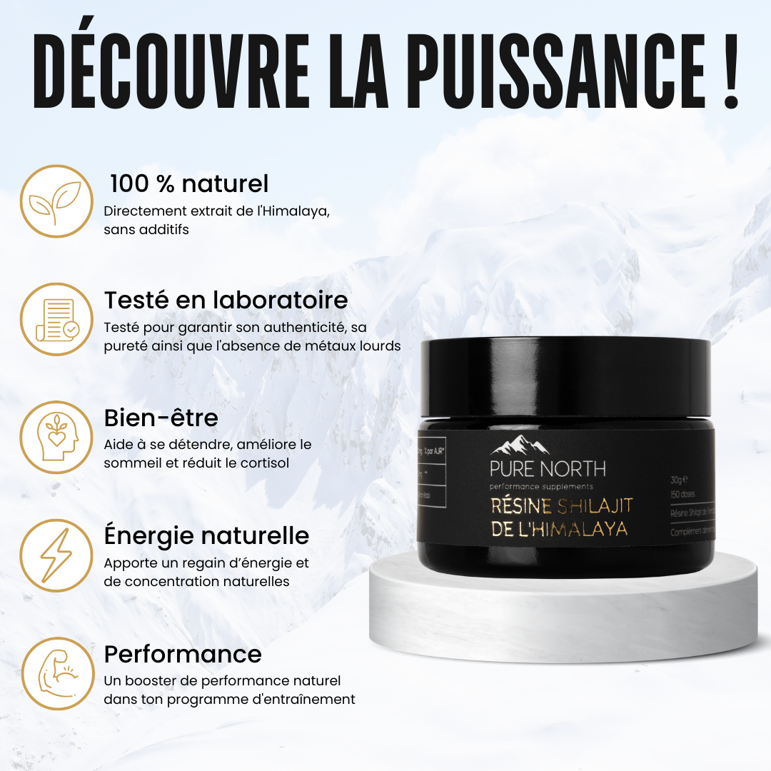 Résine Shilajit de l'Himalaya 30g