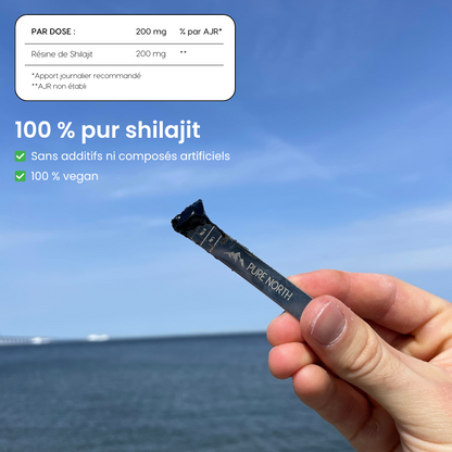 Résine Shilajit de l'Himalaya 30g